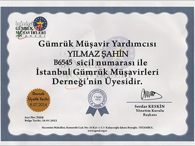 Gümrük Müşaviri